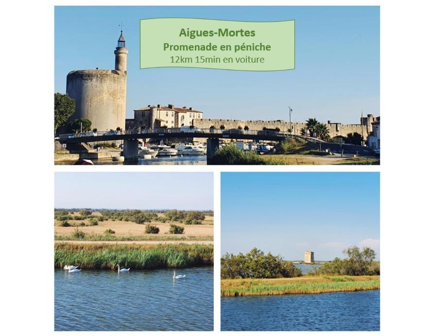 L'Olympe Vue Lac Parking Clim Wifi - Rossiconciergerie - Linge Inclus La Grande-Motte Exterior photo